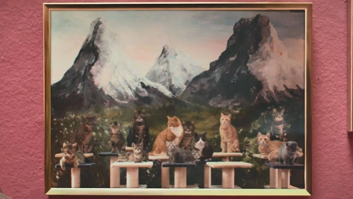 E.ON - Cat Mansion. Power to the Cats